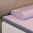 【TENDAYS】玩色柔眠記憶床5尺標準雙人(薰衣紫 5.5cm厚 可捲收薄墊)