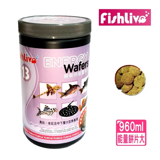【FishLive 樂樂魚】能量餅片13號 大/緩沉 960ml/底層魚主食(異形/底棲/鯰科/蝦飼料/魚飼料)