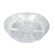 【蔬菜之家】圓形透明水盤10號5個/組(花盆水盤 塑膠水盤 歐洲盆水盤)