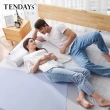 【TENDAYS】包浩斯紓壓床墊3尺標準單人(6cm厚 記憶棉層+高Q彈纖維層)
