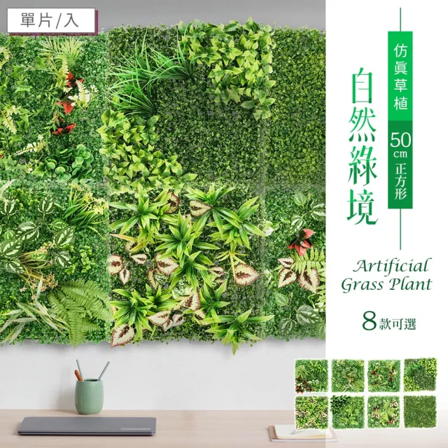 【dayneeds 日需百備】仿真草植-自然綠境 50cm正方形 抗紫外線米蘭草(植生牆/仿真植物牆/植草磚/植物牆)