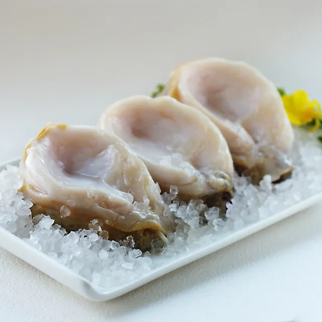 【海之醇】優質智利鮑魚-5包15顆組(250-300g/包/3顆)