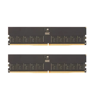 【v-color 全何】DDR5 ECC DIMM 5600 64GB kit 32GBx2(伺服器記憶體)