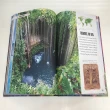 【DK Publishing】Amazing Earth + Amazing Animal Journeys