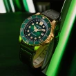 【CITIZEN 星辰】綠水鬼風格皮帶機械錶 送行動電源(NJ0173-18X)