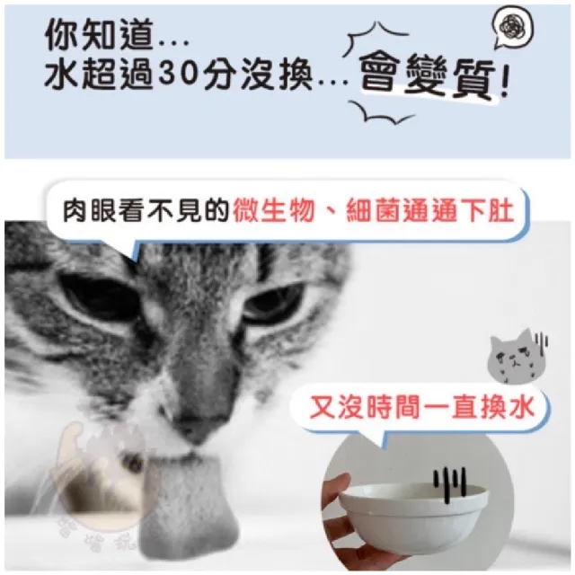 【parkcat 貓樂園】飲水好喵招*20入(寵物飲水清淨活性碳 維持水質清淨 過濾水質 除氯 除臭)