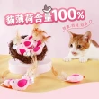 【超凝小姐】100%貓薄荷玩具(貓咪玩具 寵物玩具)