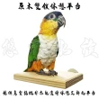 【YOYO 悠悠水族】原木雙鎖休憩平台(鳥飼料、鸚鵡飼料、鳥用品、鳥玩具、鸚鵡用品、鸚鵡玩具)