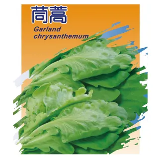 【翠筠用品】蔬菜種子B組