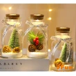 【iSFun】聖誕風情＊許願玻璃瓶微景觀小夜燈(多款可選)