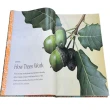 【DK Publishing】The Tree Book: The Stories Science and History of Trees