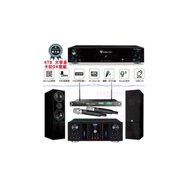 【金嗓】K1A+OKAUDIO DB-8AN+ACT-869+KTF DM-835II 黑(6TB點歌機+擴大機+無線麥克風+落地式喇叭)