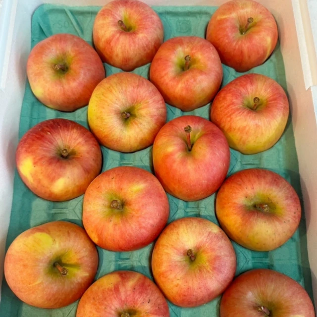 切果季 日本青森大紅榮蘋果26粒頭6顆x1盒(2.5kg_頂