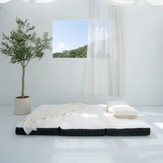 【LoveFu】無光厚墊 雙人5尺 + 月眠枕 基本款(厚床墊＋記憶枕 2件組 加贈輕青枕頭套1入)