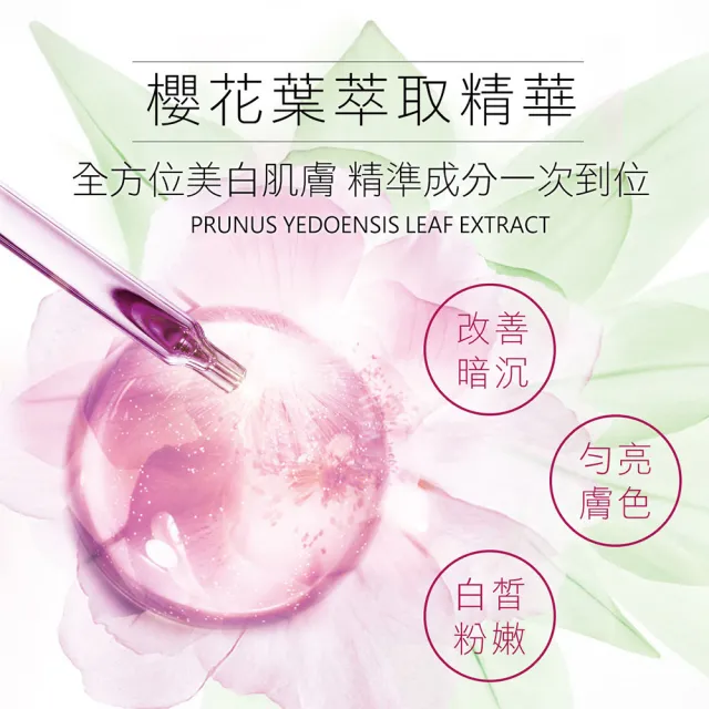 【珍朵絲特】櫻の雪傳明酸美白精華液30mlx2入組(日本櫻花葉美白系列新包裝-佐登妮絲)