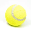 【Kao jing 高精】練習網球 5入組(寵物玩具球 網球 寵物網球)