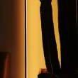 【Taoshop 淘家舖】北歐現代極簡落地燈輕奢ins風簡約客廳沙發邊臥室床頭燈JL187(條形落地燈暖光-黑色)