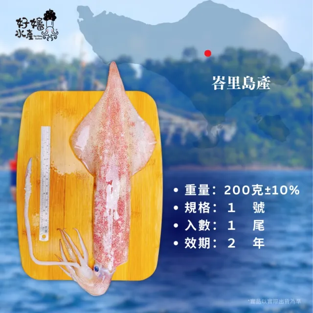 【好嬸水產】急速船凍-30公分好棒棒鮮甜透抽200G