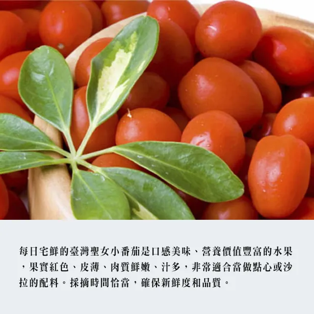【每日宅鮮】台灣聖女小番茄 2盒入(2.5kg/盒±5% x1盒/共收到兩盒)