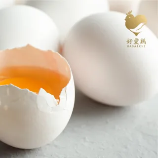【好愛雞HAOAICHI】台灣好愛雞牧場-紅殼放牧雞蛋8盒(10顆/盒_無毒の放牧蛋小家庭)