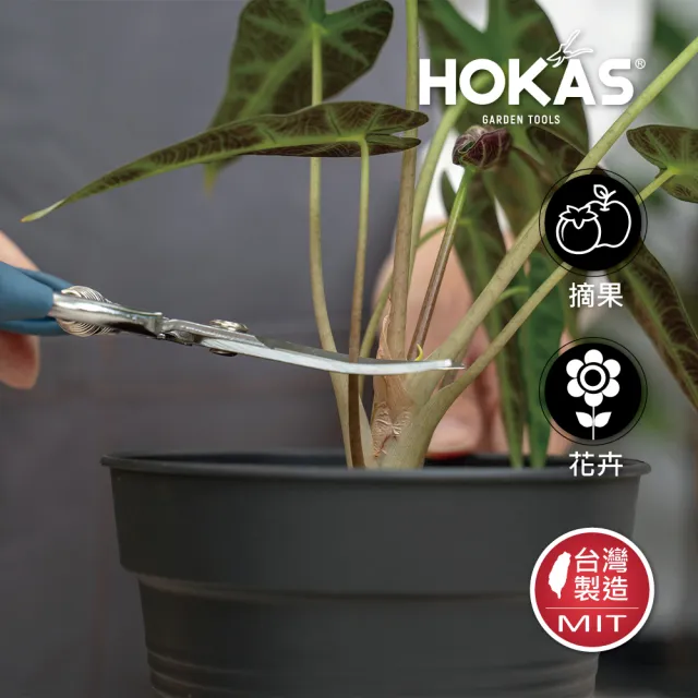 【HOKAS】長曲刃芽切剪(台灣製 適用觀葉植物 園藝盆栽 摘果 切花 S518)