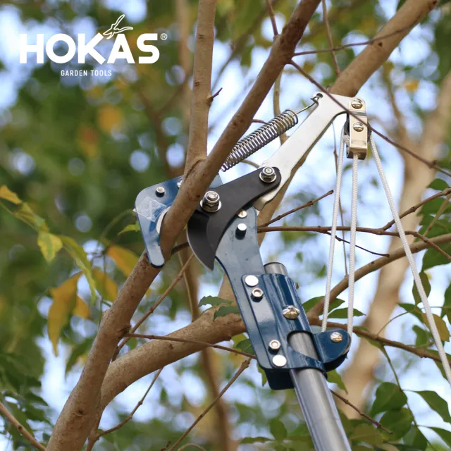 【HOKAS】經濟輕量型高空樹剪(適用樹高約3米至3.4米 伸縮高枝剪 台灣製 S104)