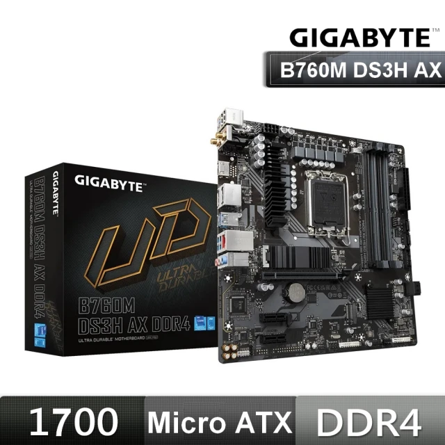 【GIGABYTE 技嘉】搭 金士頓 1TB SSD + 8G 記憶體 ★ B760M DS3H AX DDR4 主機板