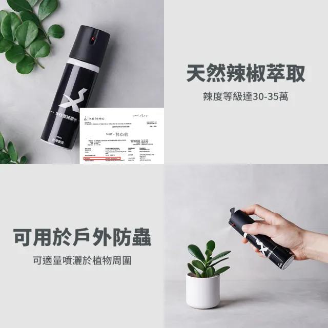 【防災專家】二入組 台灣製 水柱型辣椒水(防誤觸開關 警察標準配備 防身 防狼 防狼噴霧器 辣椒水)