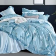 【FOCA】100%純天絲八件式鋪棉兩用被床罩組(雙/加/特/多款任選)