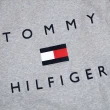 【Tommy Hilfiger】男生 成人版 毛圈 帽T 帽踢 連帽 長袖大學T(版型偏大多款可選平輸品)