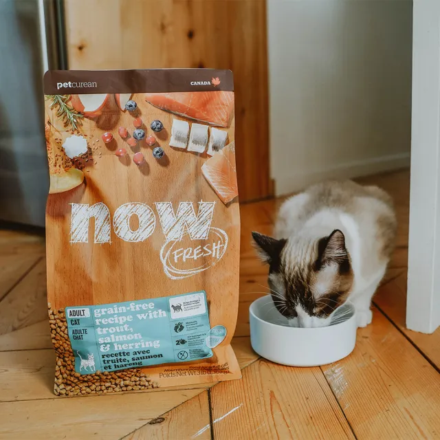 【Now!】成貓鮮魚配方8磅 貓咪無穀天然糧(貓糧 貓飼料 益生菌 蔓越莓)