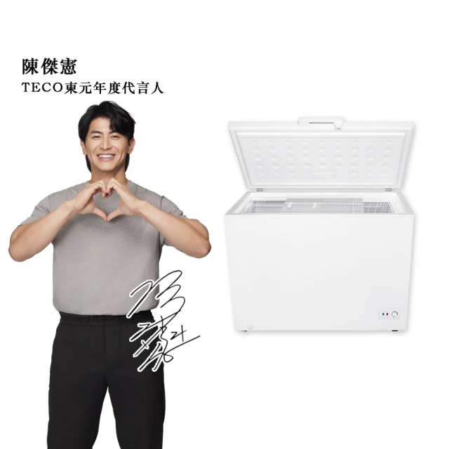 【TECO 東元】300公升 上掀式臥式冷凍櫃(RL3002W)