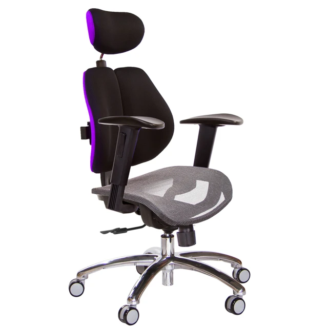 GXG 吉加吉 高雙背網座 電腦椅 鋁腳/2D升降扶手(TW