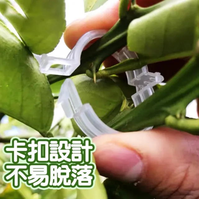 【熊貓購物】藤蔓固定夾五入一組(蘭花夾 藤蔓夾 蕃茄夾 夾子 植物生長固定器)