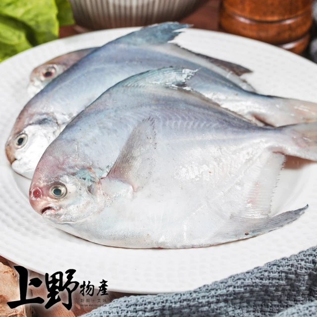 北村漁家 深海野生活凍小白鯧20尾(100-150g/尾) 
