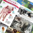 【iBezT】動物圖鑑18款套(挑選孩子最喜歡又最好奇的動物)