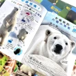 【iBezT】動物圖鑑18款套(挑選孩子最喜歡又最好奇的動物)