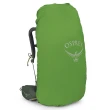 【Osprey】Kestrel 58 輕量登山背包 附背包防水套 男款 盆景綠(健行背包  徙步旅行 登山後背包)