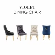 【E-home】Violet瓦爾萊特奢華拉扣微翼金腳休閒餐椅 4色可選(網美椅 會客椅 美甲 高背)