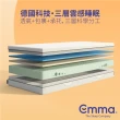 【德國Emma】One床墊+經典記憶枕套組 贈保潔墊 標準雙人 152*188*18(德國工藝設計 高性價比評測冠軍)