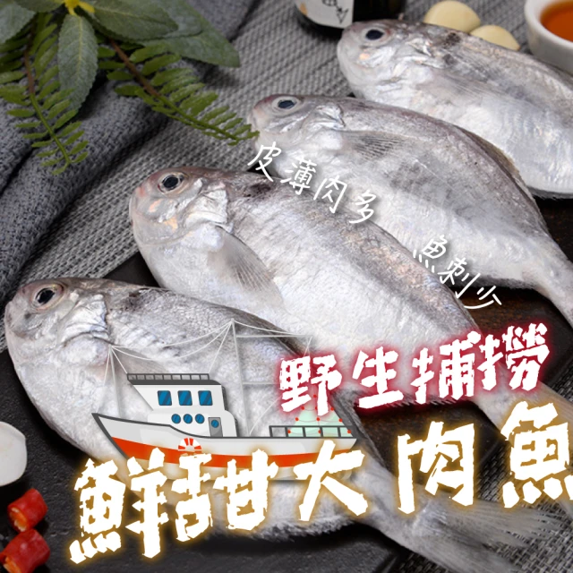 一手鮮貨 野生鮮甜肉魚(3包組/單包600g±10%/肉魚)