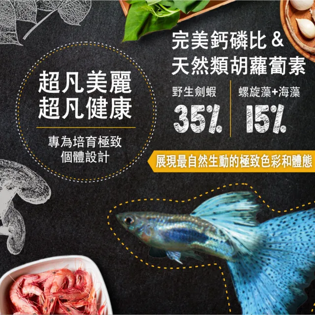 【鮮蝦食譜】孔雀＆卵胎生魚-全天然螺旋藻大蒜蝦肉堡1150ml(孔雀魚飼料 魚飼料 水族飼料)