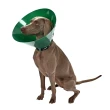 【丹麥KRUUSE】BUSTER 綠色環保海洋頭套-20cm(犬貓適用/防舔抓頭套/伊莉莎白頭套/貓狗圍脖頸圈)