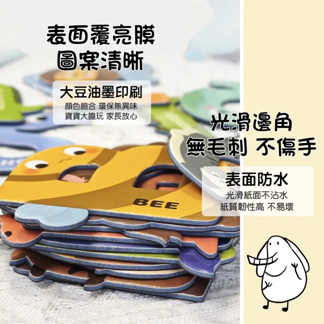 【PinWheel】磁性認知早教玩具磁力片(拼圖卡 磁力貼 幼兒教具 啟蒙玩具 英文教具 數學教具)