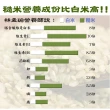 【悅生活】谷穗--特A級 新潟縣高營養補給糙米100%日本直送/2kg/包 二入組(日本米 穀米 玄米)