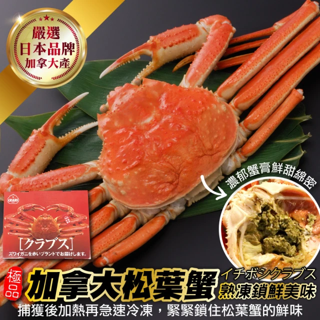 三頓飯 日本品牌加拿大熟松葉蟹整隻(4隻組_350-400g/隻)