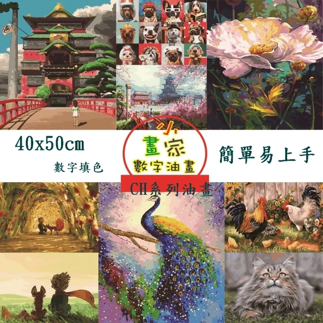 台灣小畫家 數字油畫 40X50CM 新款樣式 多樣選擇(數