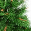 【摩達客】台灣製15尺/15呎 450cm 特級綠松針葉聖誕樹(含紅金色系配件組/不含燈/本島免運費)