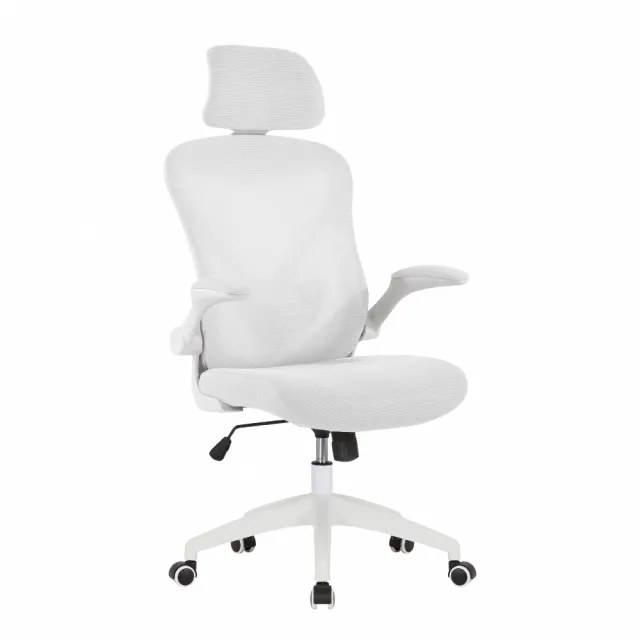 【E-home】Arno亞諾網布可旋轉扶手高背電腦椅 5色可選(主管椅 辦公椅 人體工學 網美椅 透氣)