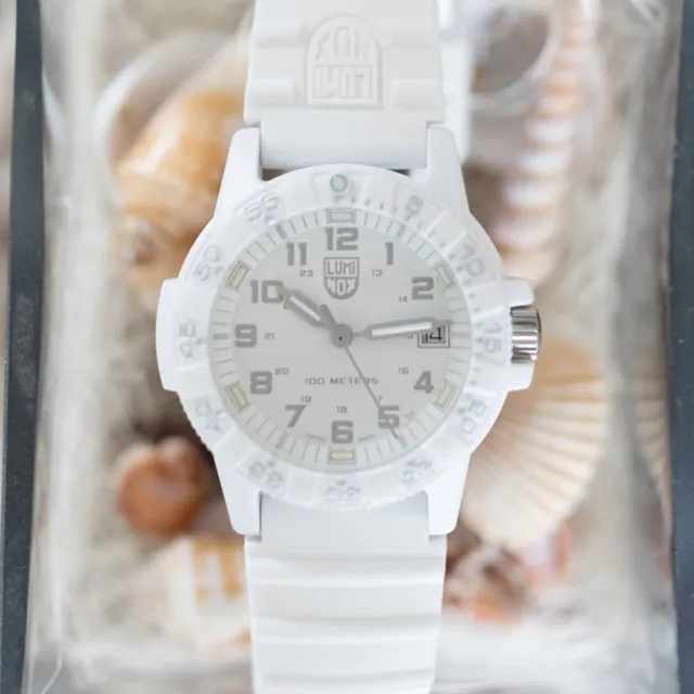 【LUMINOX 雷明時】SEA TURTLE 0300海龜系列腕錶 瑞士錶(白x灰時標39mm)